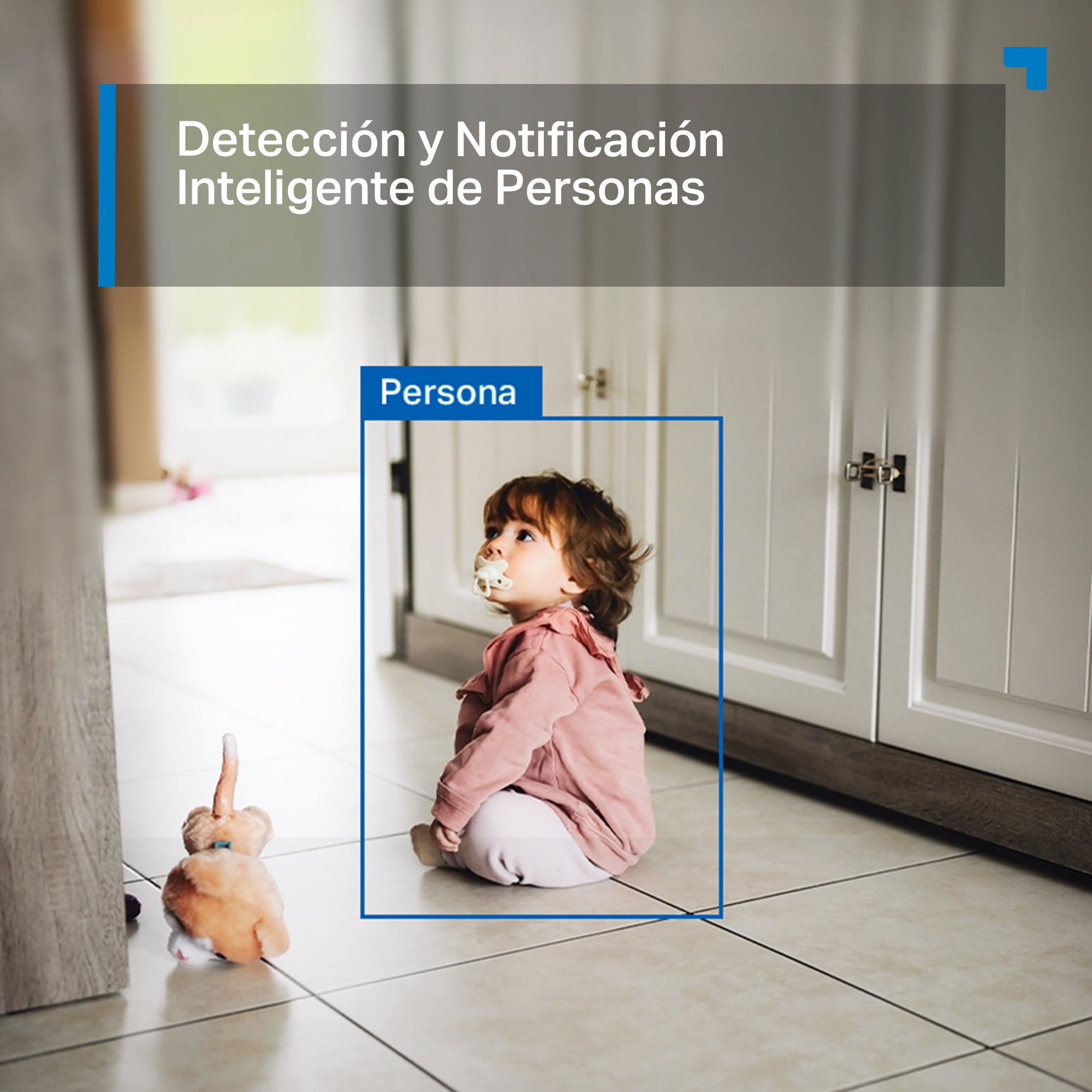 Tapo C206 - Cámara Wi-Fi de Seguridad para Interior / Exterior, 1080p, Visión Nocturna, Detección IA Gratuita