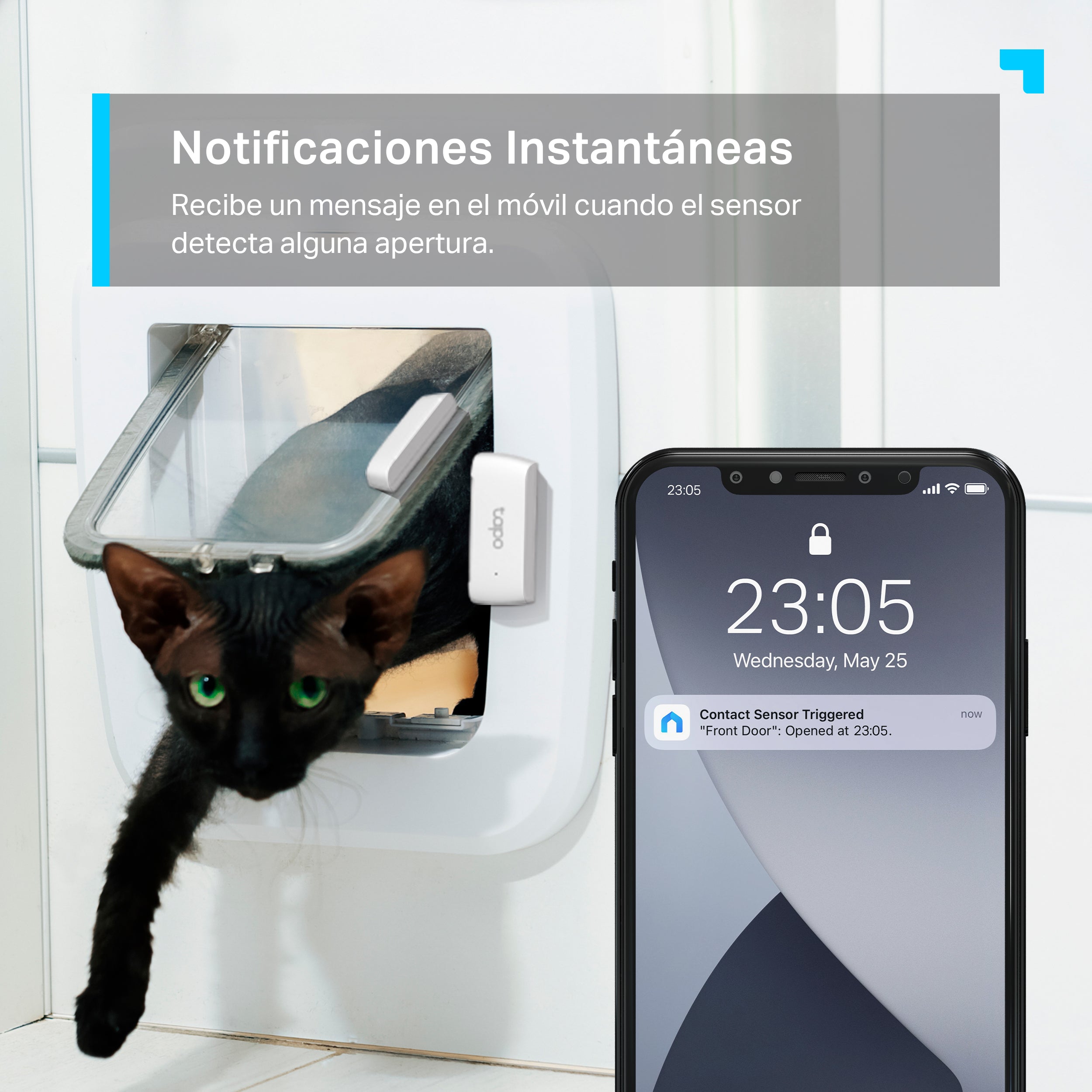 Tapo T110 - Sensor de Contacto Inteligente, Notificaciones, Fácil Instalación, Acciones Inteligentes