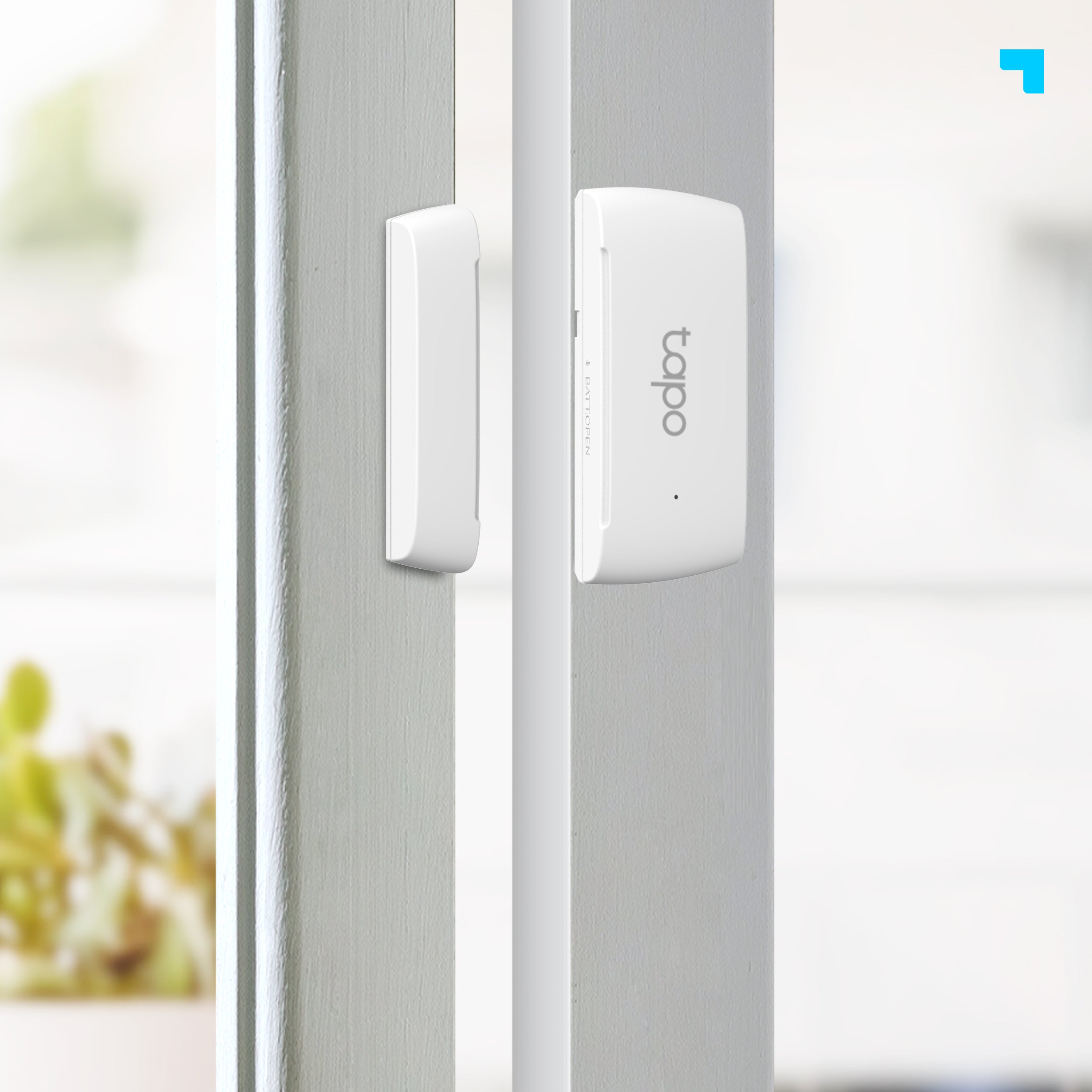 Tapo T110 - Sensor de Contacto Inteligente, Notificaciones, Fácil Instalación, Acciones Inteligentes