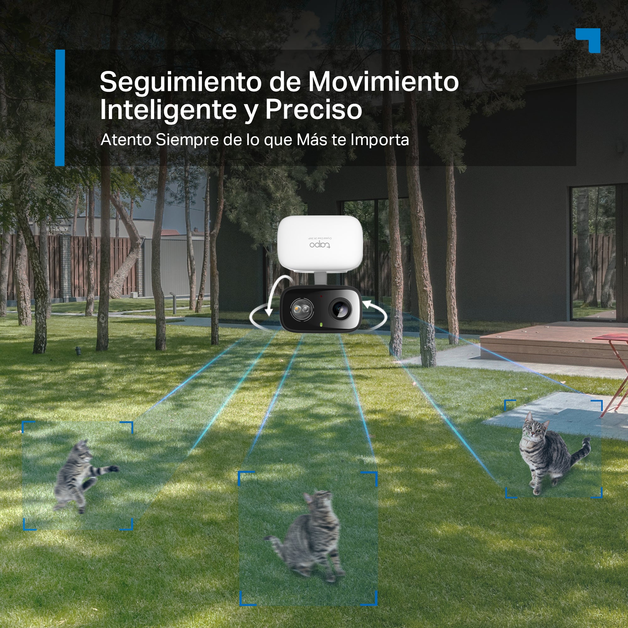 Tapo C216 - Cámara de Vigilancia Wi-Fi 2K para Exterior/Interior, 360º, Detección IA y Resistencia IP65