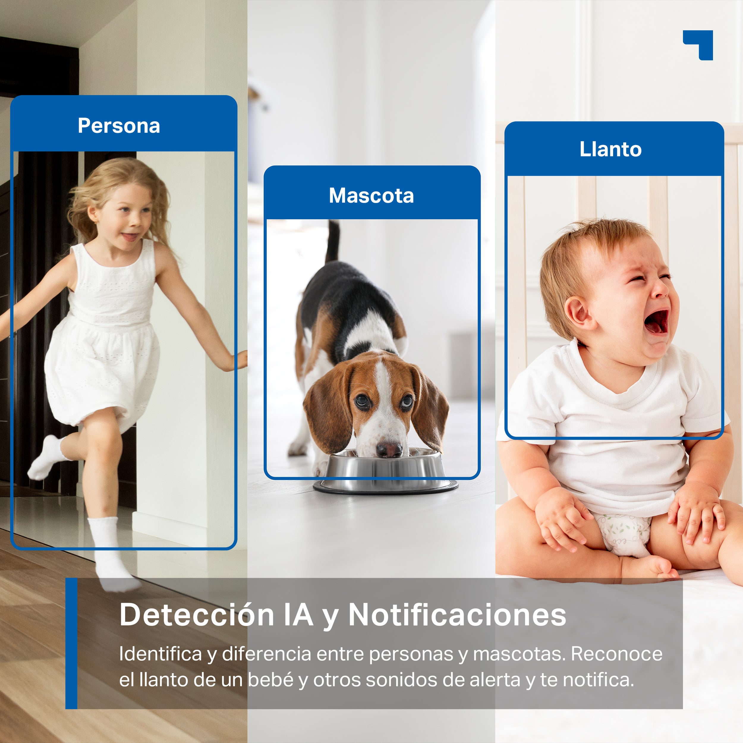 Tapo C225 - Cámara de Vigilancia Wi-Fi Inteligente, Rotación 360º, 2K QHD, Detección IA, Visión Nocturna, Modo Privacidad