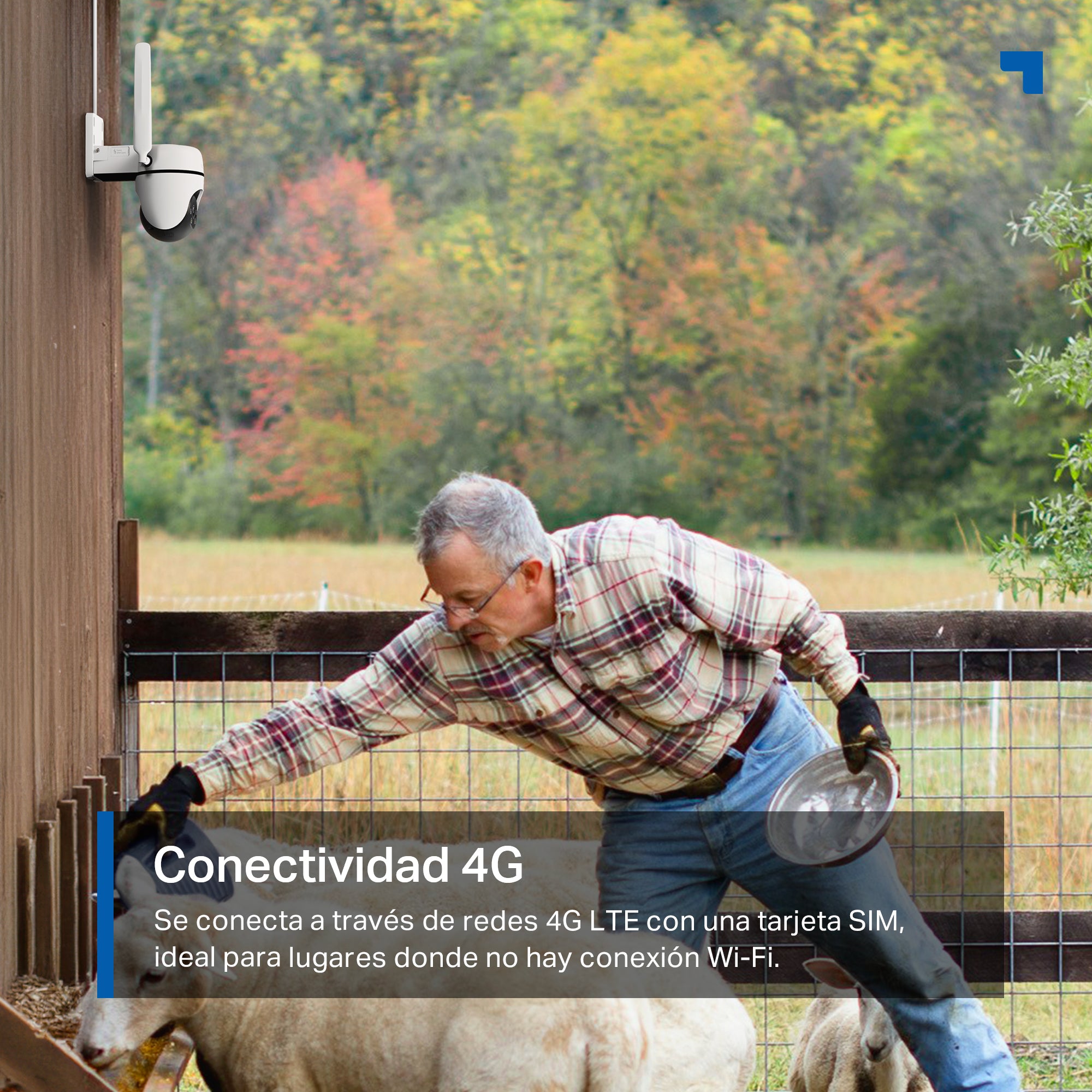 Tapo C501GW - Cámara de Vigilancia 4G LTE 360º, Resolución 1080p, Detección IA, Visión Nocturna a Color