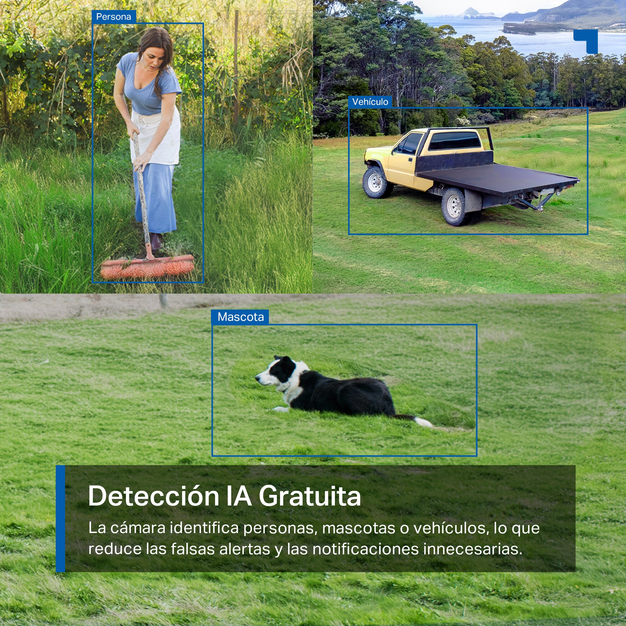 Tapo C501GW - Cámara de Vigilancia 4G LTE 360º, Resolución 1080p, Detección IA, Visión Nocturna a Color