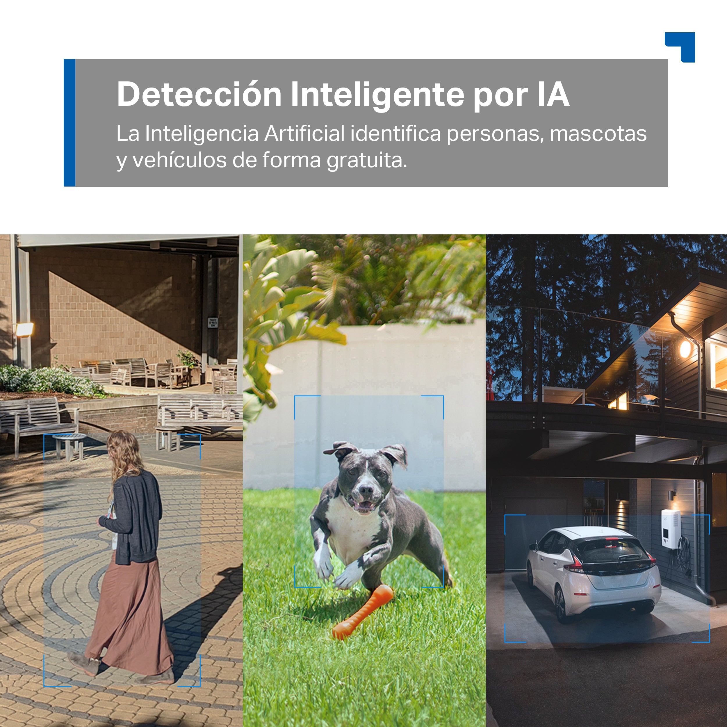 Tapo C520WS - Cámara inteligente Wi-Fi de Vigilancia para Exterior 360º, 2K QHD