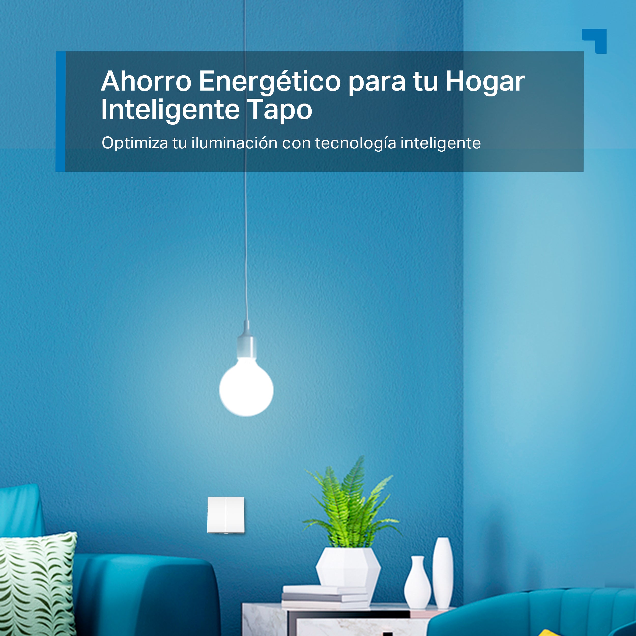 Tapo S220 - Interruptor Inteligente de pared para la luz, Control App Tapo, Control por Voz, Programa Horarios, Modo Ausente