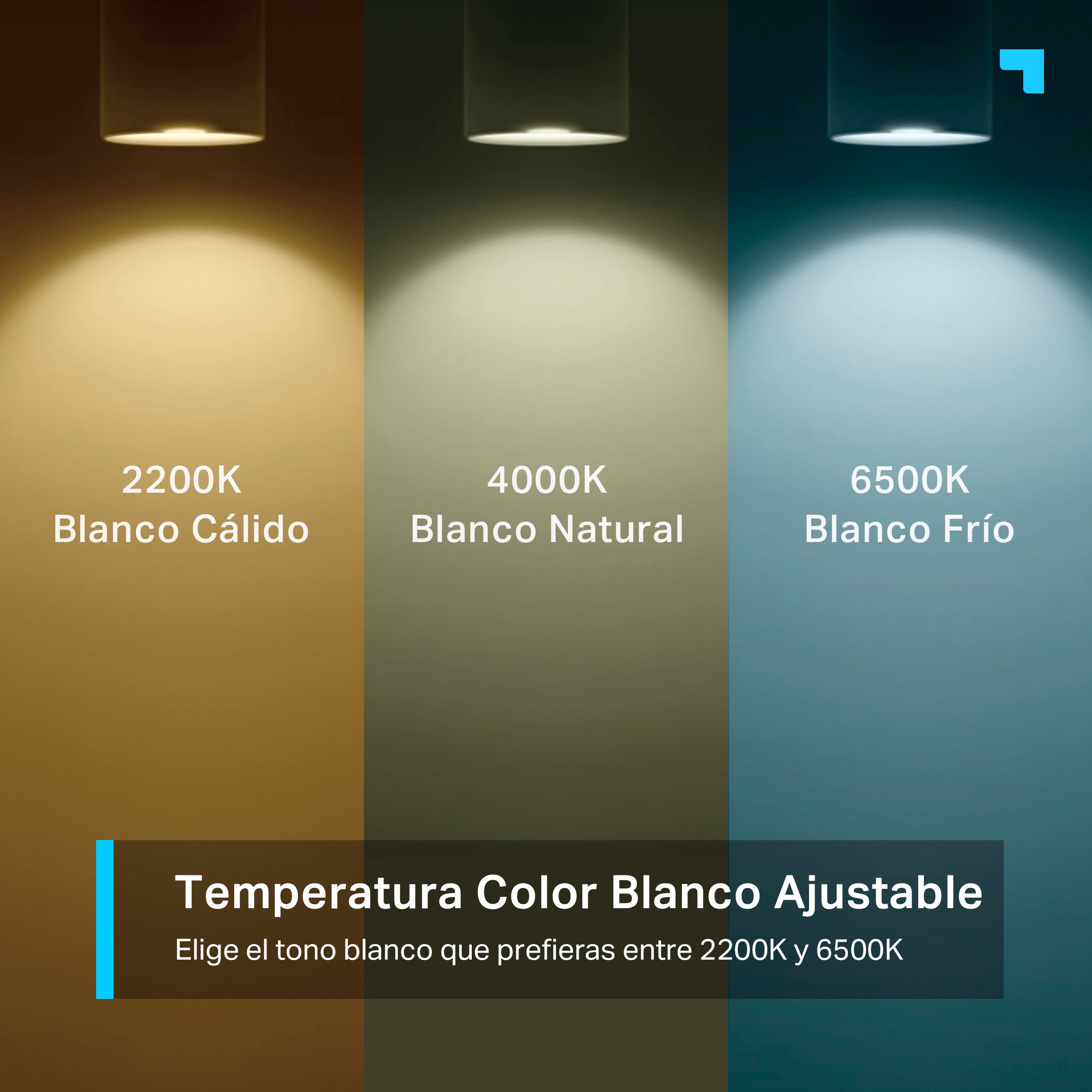 Tapo L610 - Bombilla LED Inteligente RGB Regulable con Luz Blanca Cálida