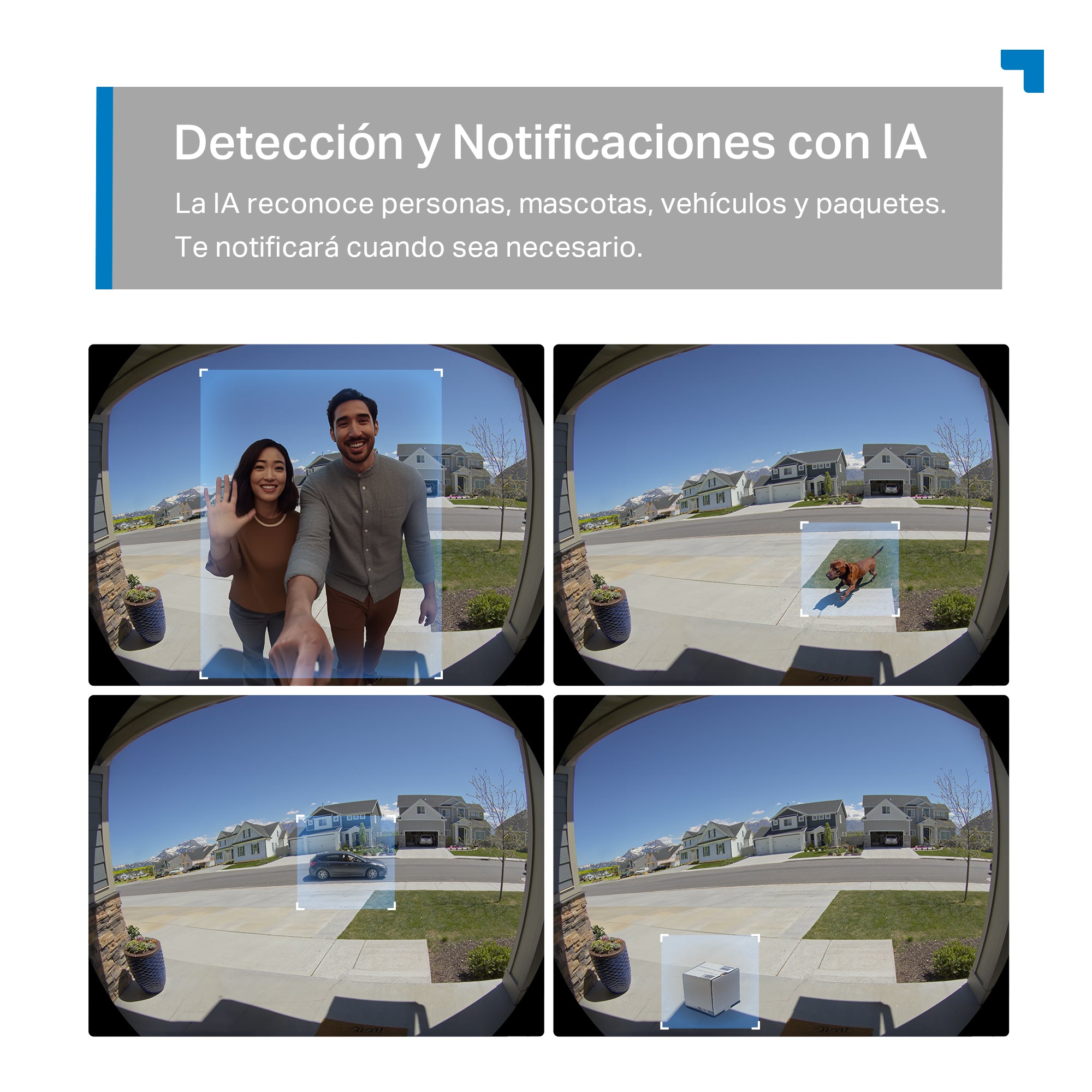 Tapo D235 - Timbre Inteligente con Video 2K 3MP, Visión Nocturna a Color, Protección IP66, Batería 10000mAh