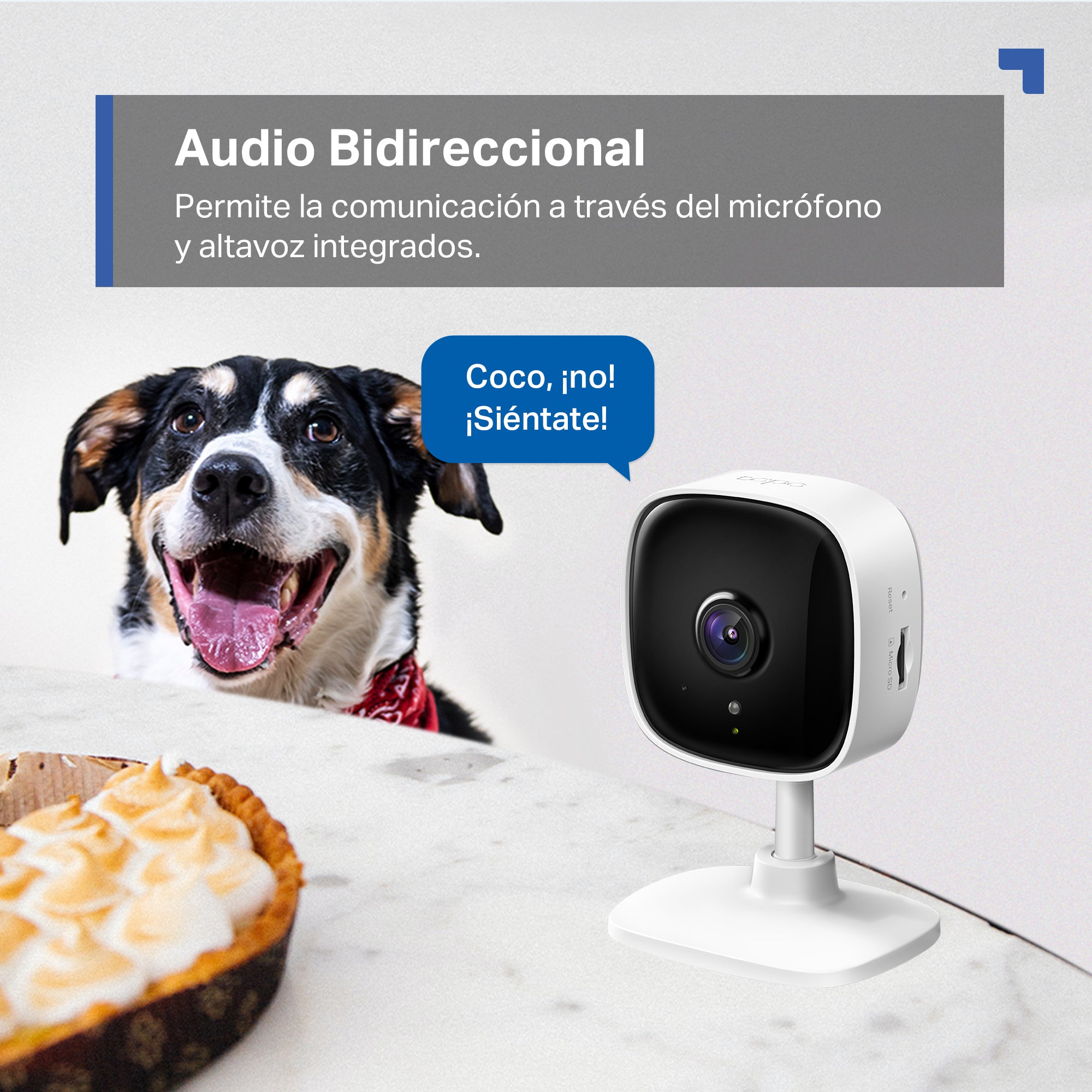 Tapo C110 - Cámara de Vigilancia Wi-Fi Inteligente, 2K 3MP, Detección IA, Visión Nocturna