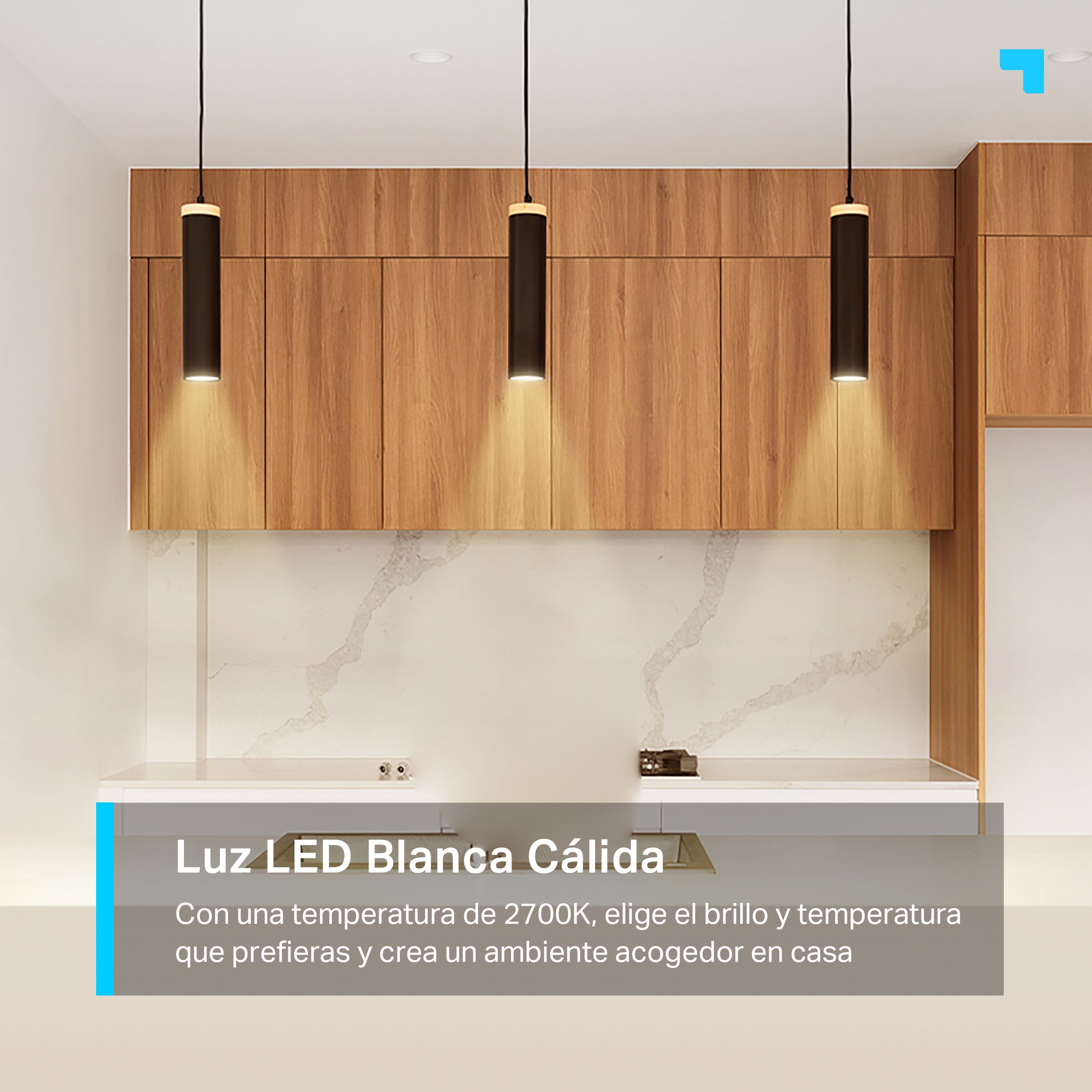 Tapo L610 - Bombilla LED Inteligente RGB Regulable con Luz Blanca Cálida