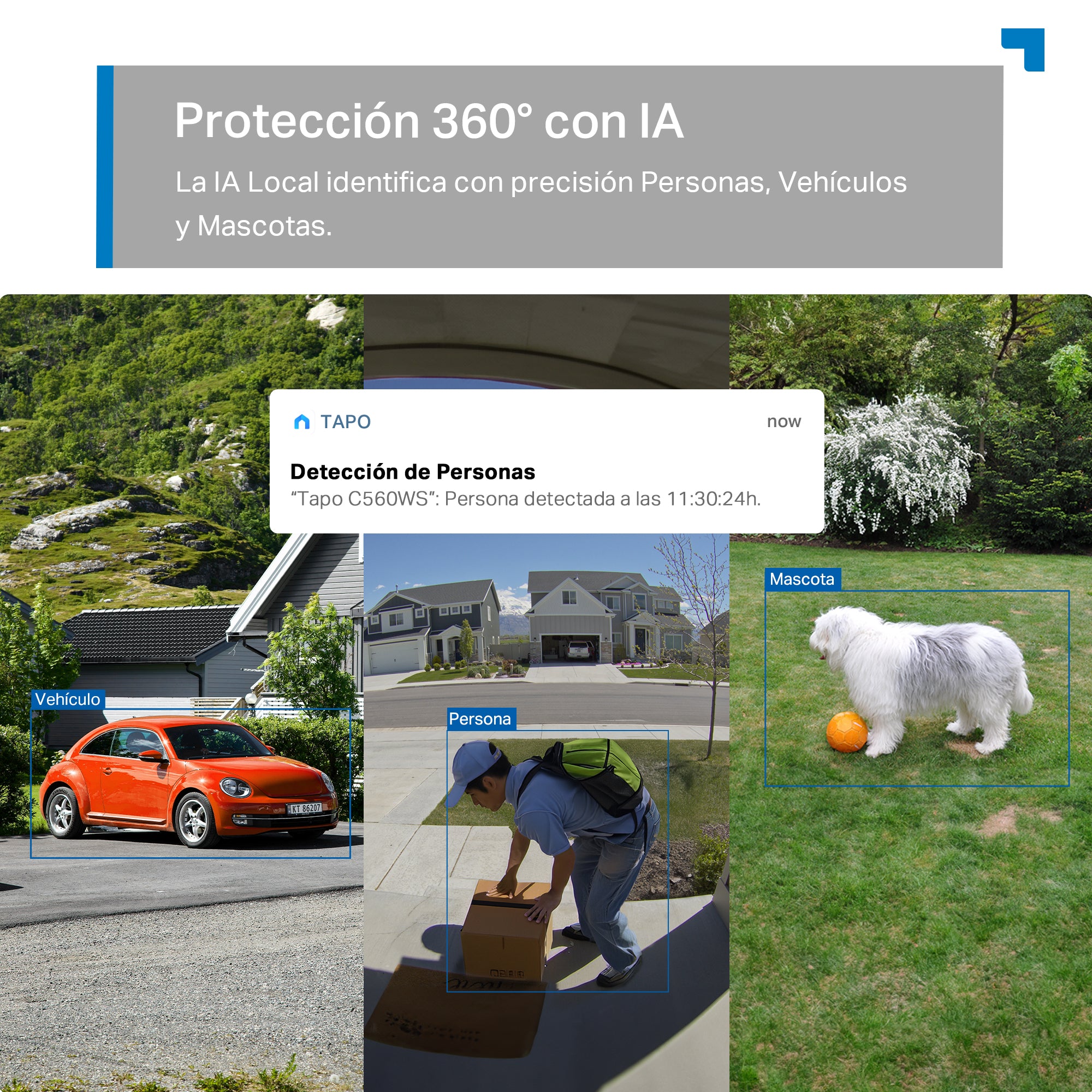 Tapo C560WS: vídeo 4K, seguimiento 360 con IA, detección personas/mascotas/vehículos, reconocimiento facial, Wi-Fi 6, 512 GB, 24/7