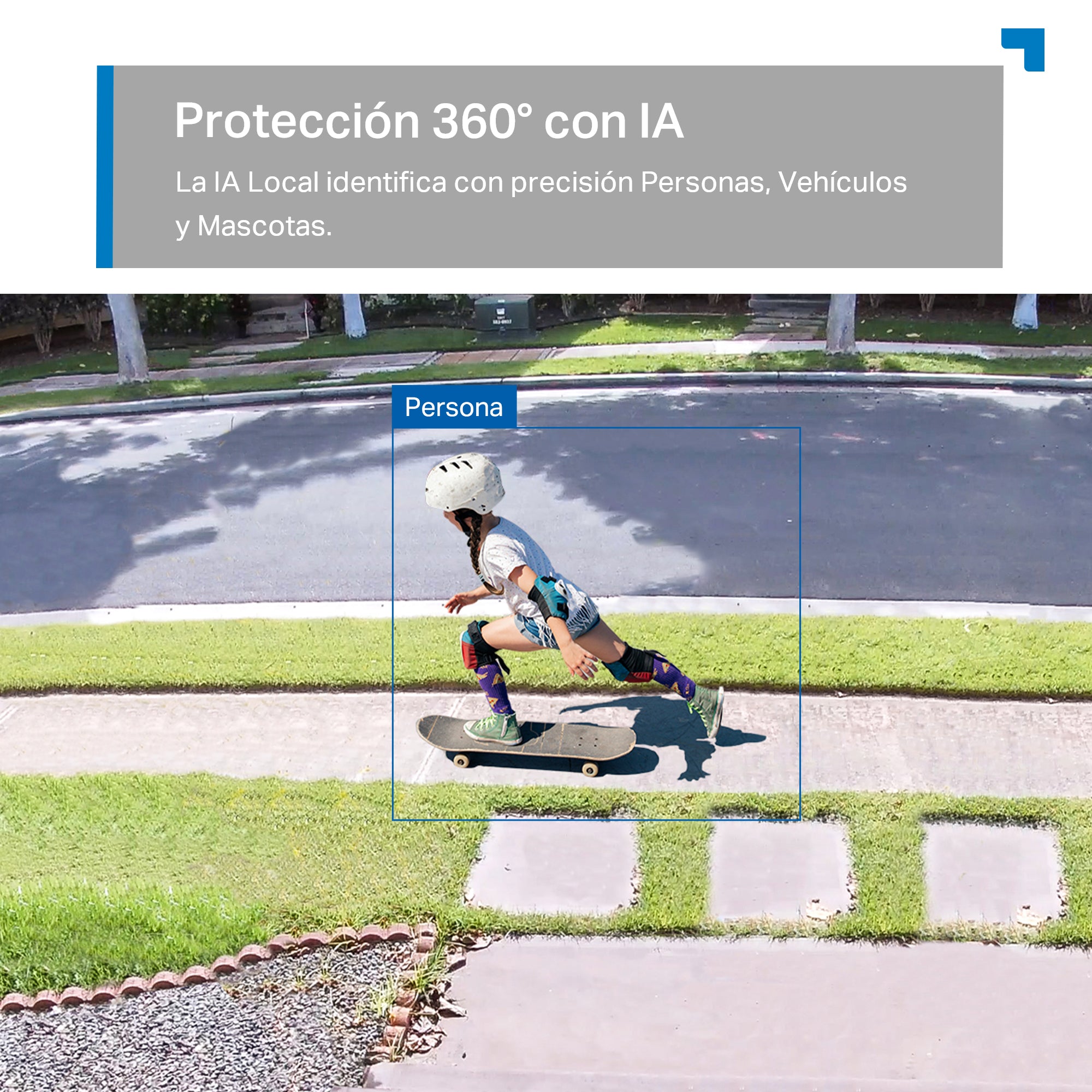 Tapo C560WS con protección 360 grados e IA local que identifica personas, vehículos y mascotas