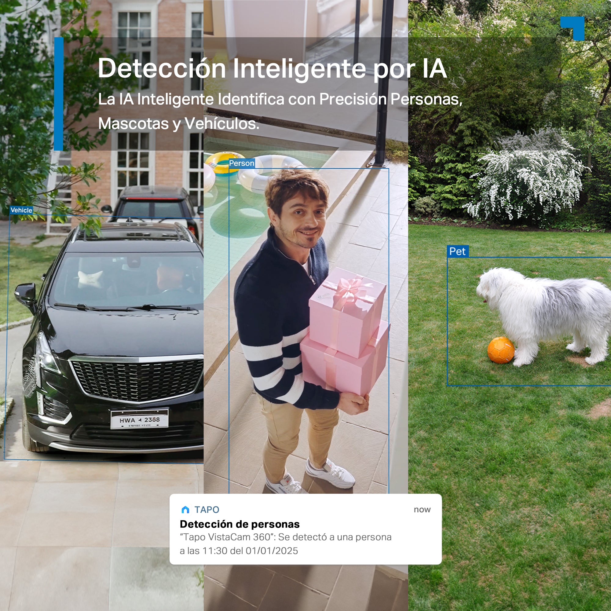 Detección inteligente por IA de la Tapo C660 Kit: personas, mascotas y vehículos