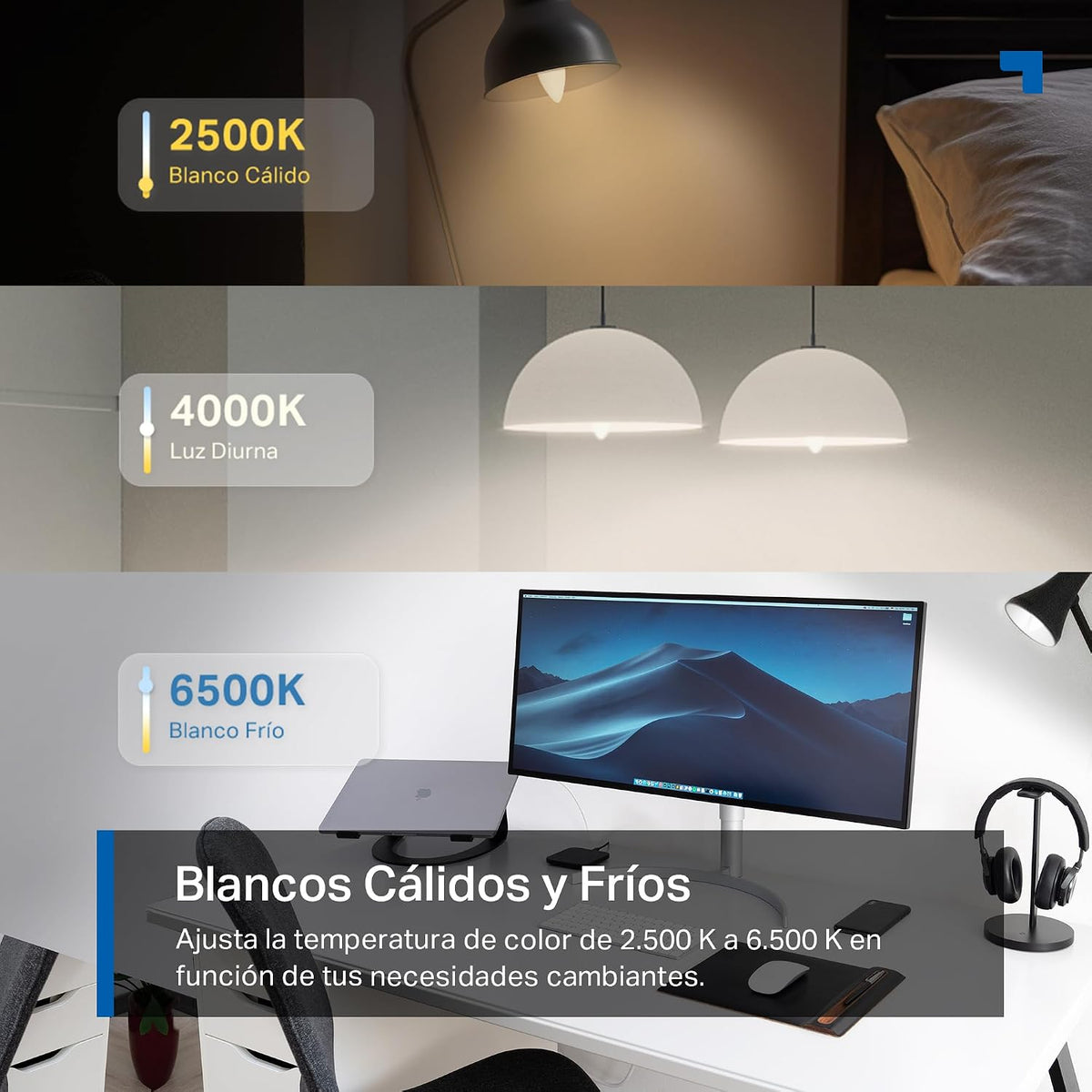Bombilla Inteligente Wi-Fi E27 Multicolor con Monitorización de Energía, Pack de 4 | Tapo L430C (4-Pack)
